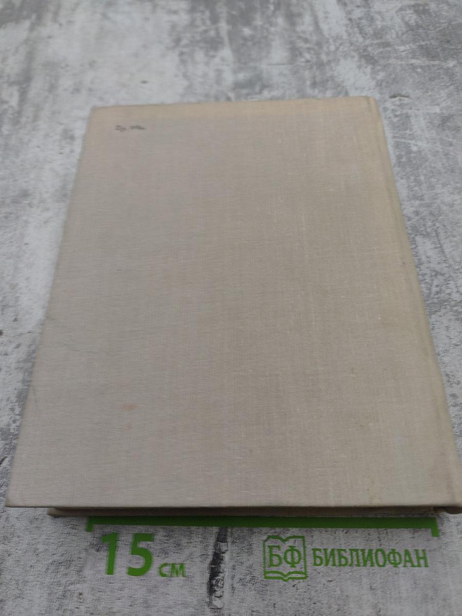 Поэт и его подвиг