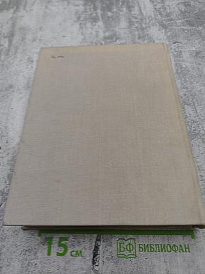 Поэт и его подвиг