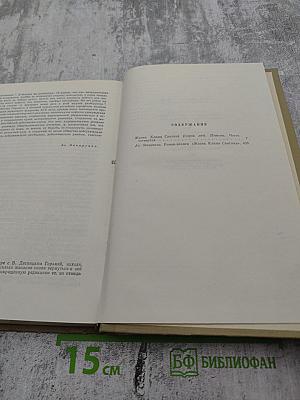 Собрание сочинений. Том 15. Жизнь Клима Самгина (1925-1936)