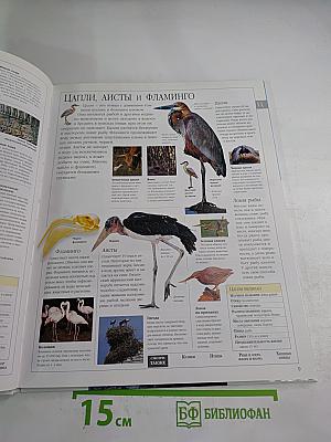 Иллюстрированная семейная энциклопедия Том 15: Хищные растения - Южная Америка, история