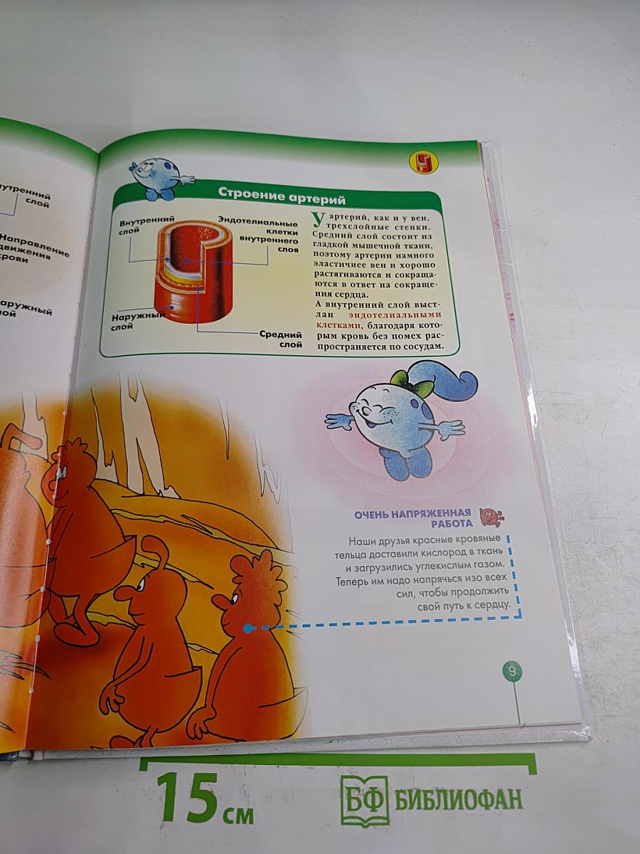 Как устроено Тело Человека 2: Кровообращение