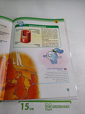 Как устроено Тело Человека 2: Кровообращение