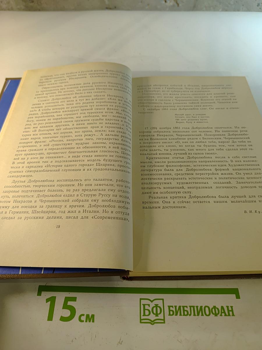 Н. А. Добролюбов. Избранные статьи