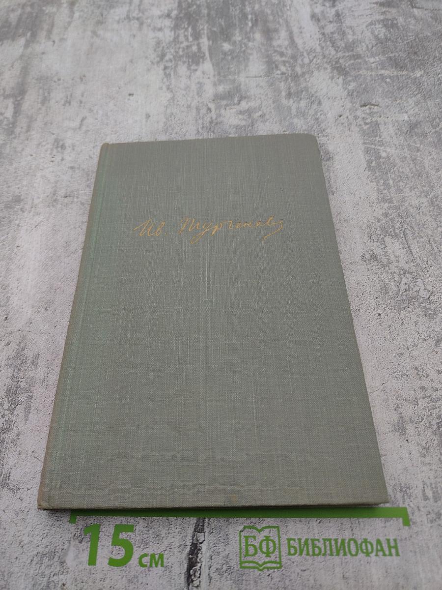 Собрание сочинений. Том второй: Рудин, Дворянское гнездо