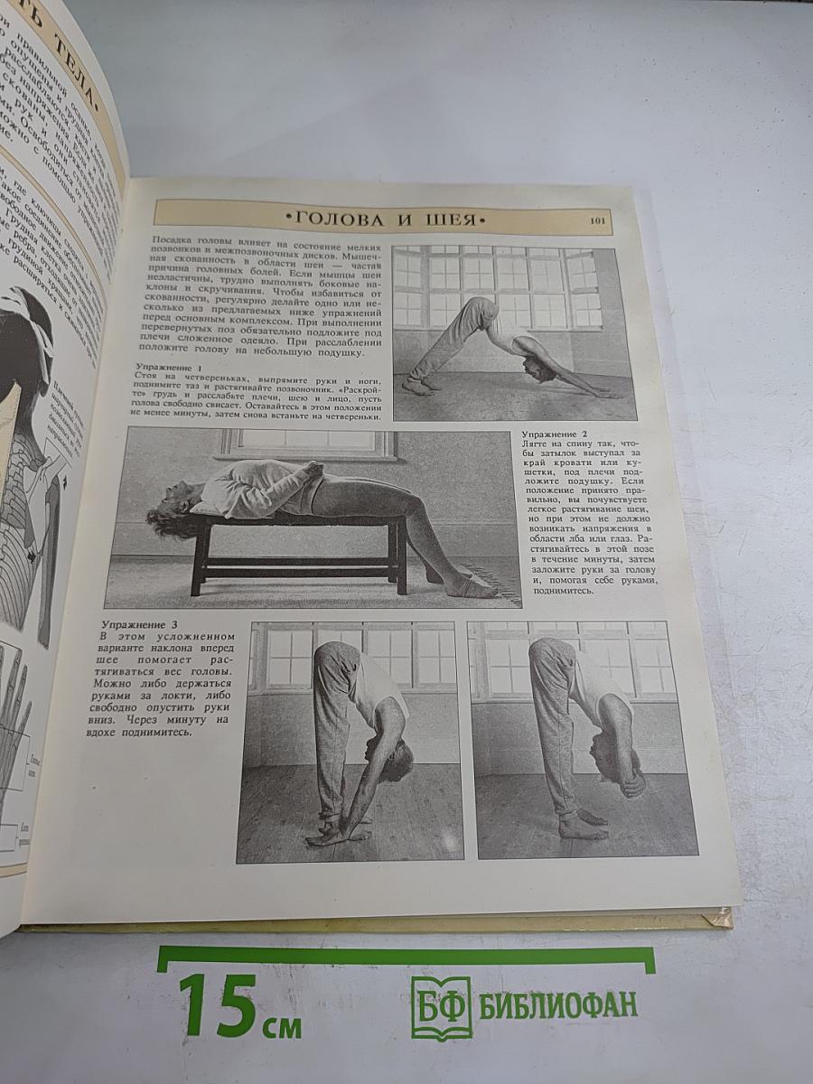 Растягивайся и Расслабляйся