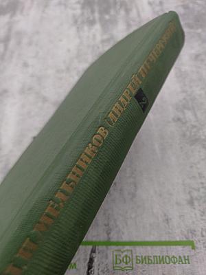 Собрание сочинений в шести томах. Том 2. В Лесах. Книга первая