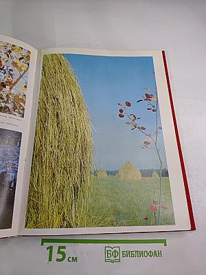 Рожденная Октябрем