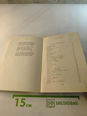 Живое зеркало