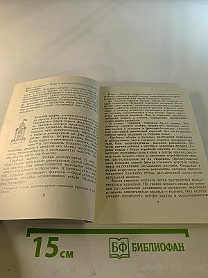 Художественные памятники города Ломоносова
