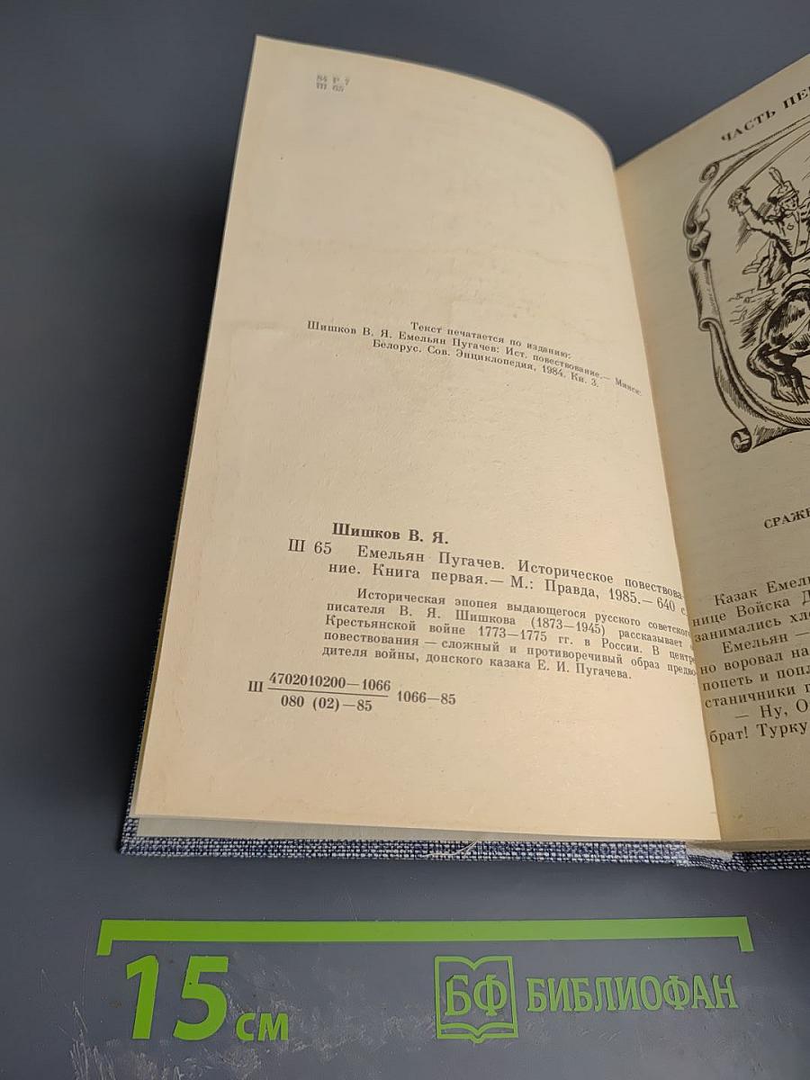 Емельян Пугачев. Историческое повествование. Книга первая