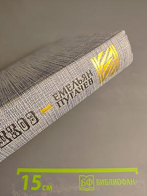 Емельян Пугачев. Историческое повествование. Книга первая