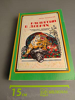 Распятый в дебрях. Владимир Арсеньев. Судьба странника