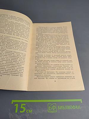 Зеленые спутники