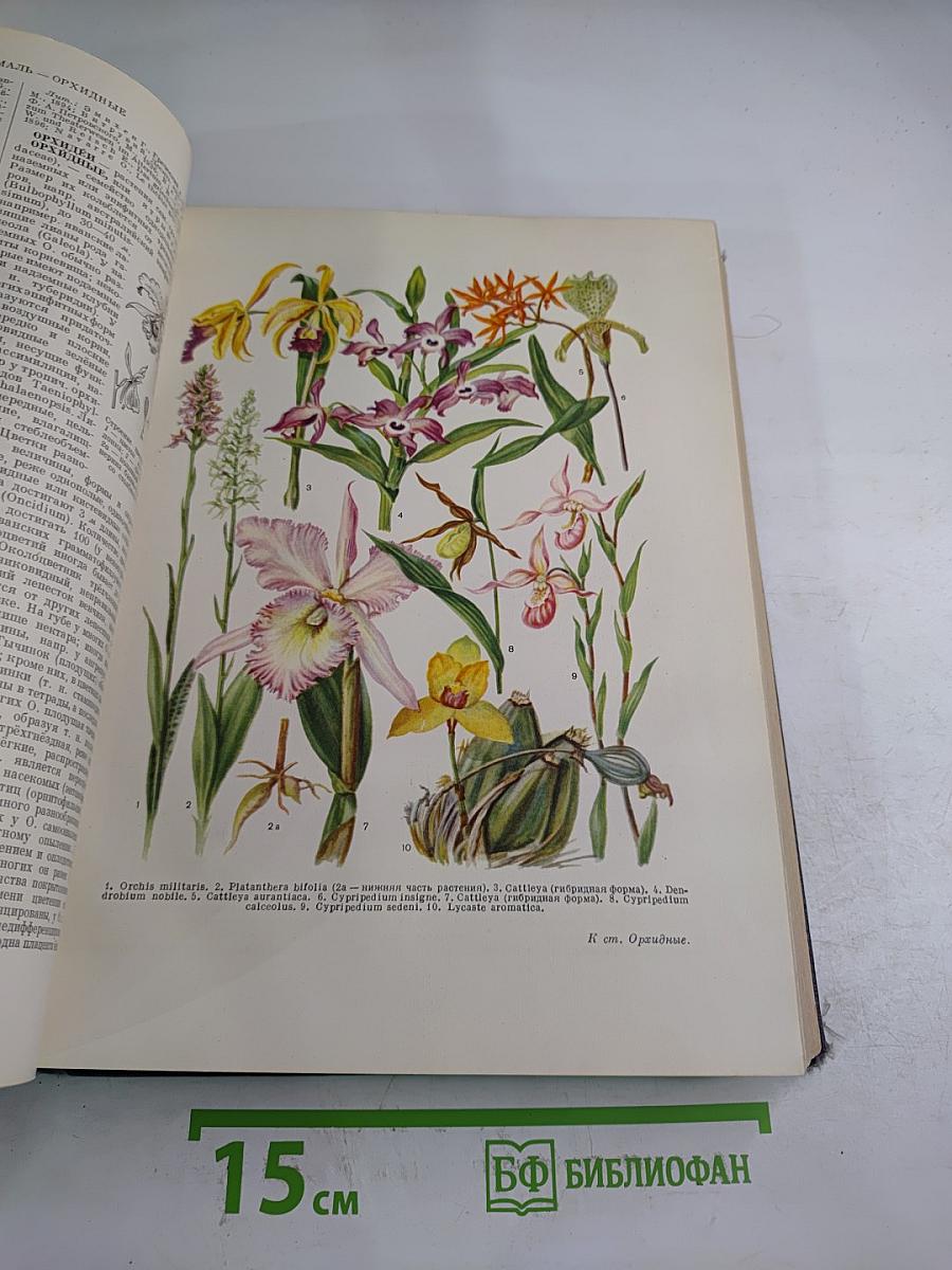 Большая Советская Энциклопедия, том 31