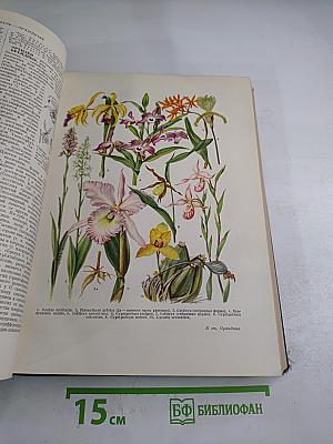 Большая Советская Энциклопедия, том 31