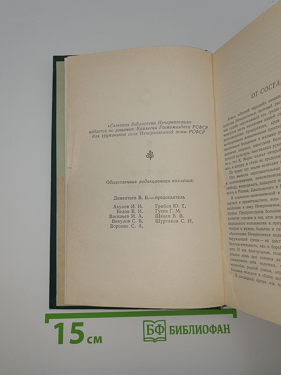 Лесной чародей