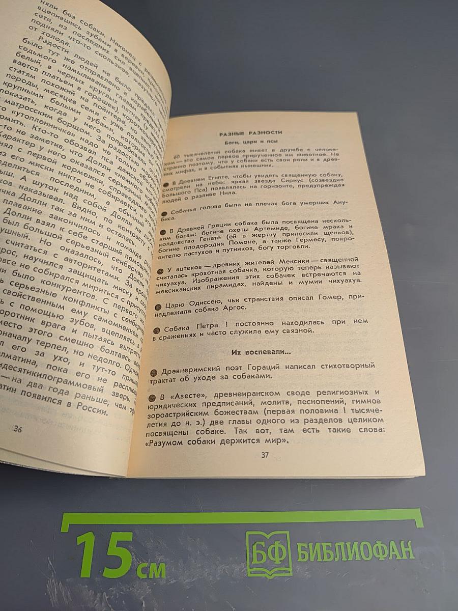 Собаки и кошки в одной обложке