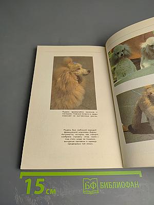 Собаки и кошки в одной обложке