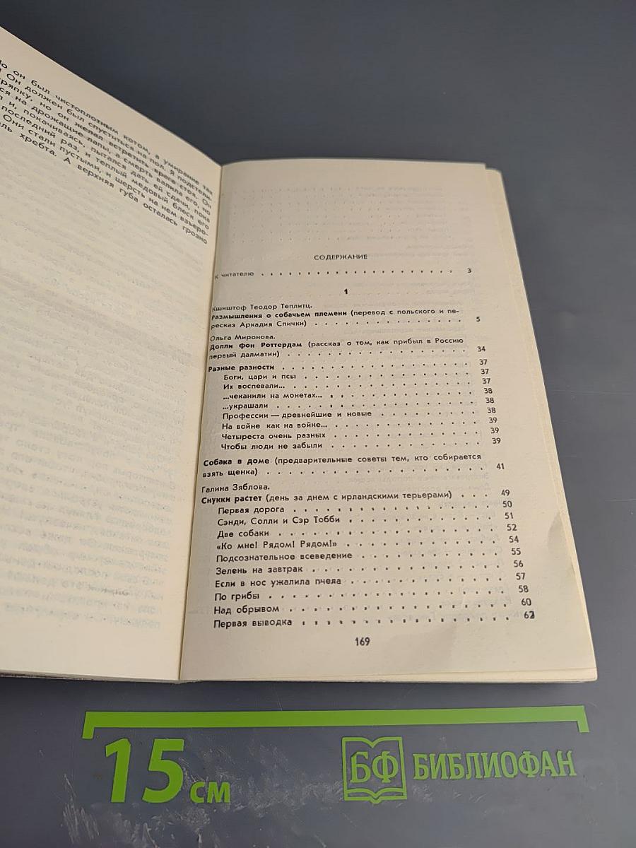 Собаки и кошки в одной обложке