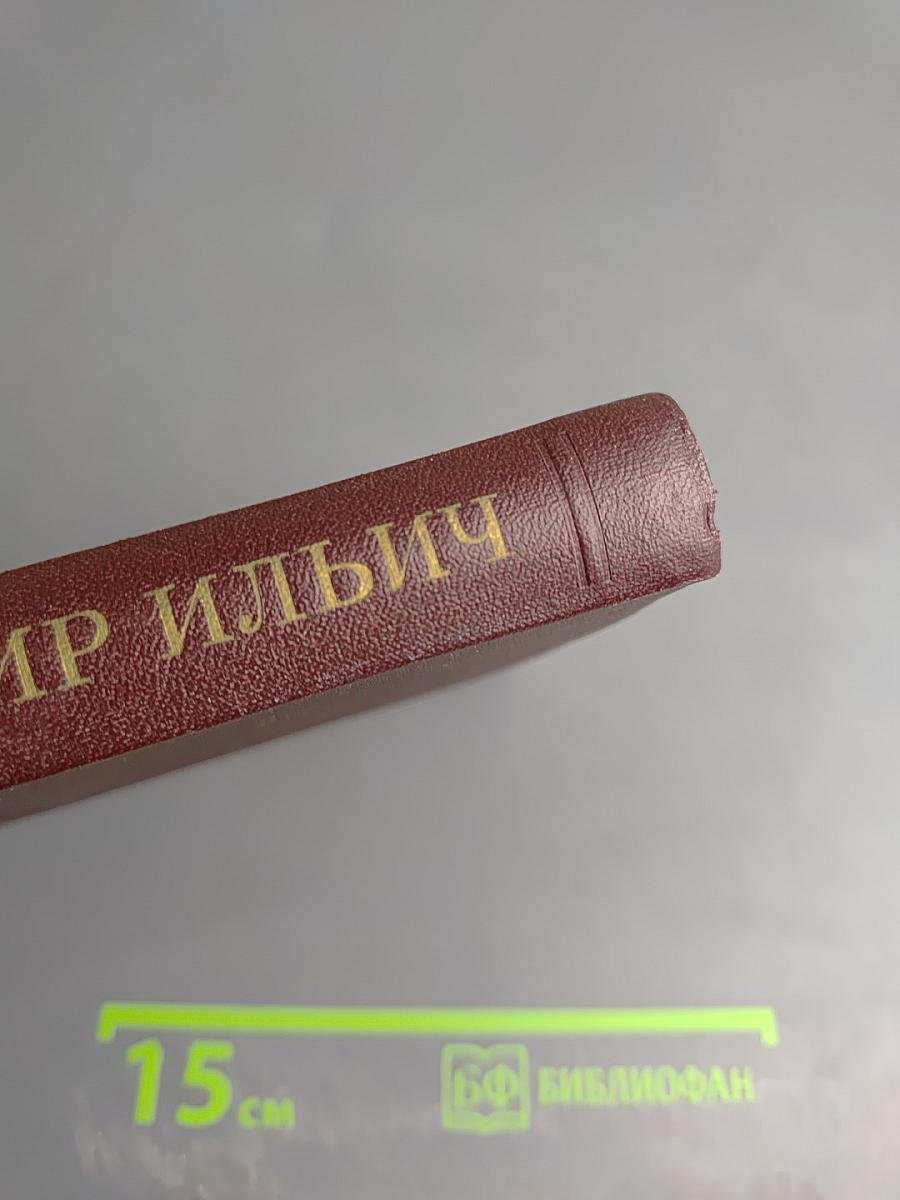 Ленин Владимир Ильич. Краткая биография