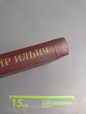 Ленин Владимир Ильич. Краткая биография