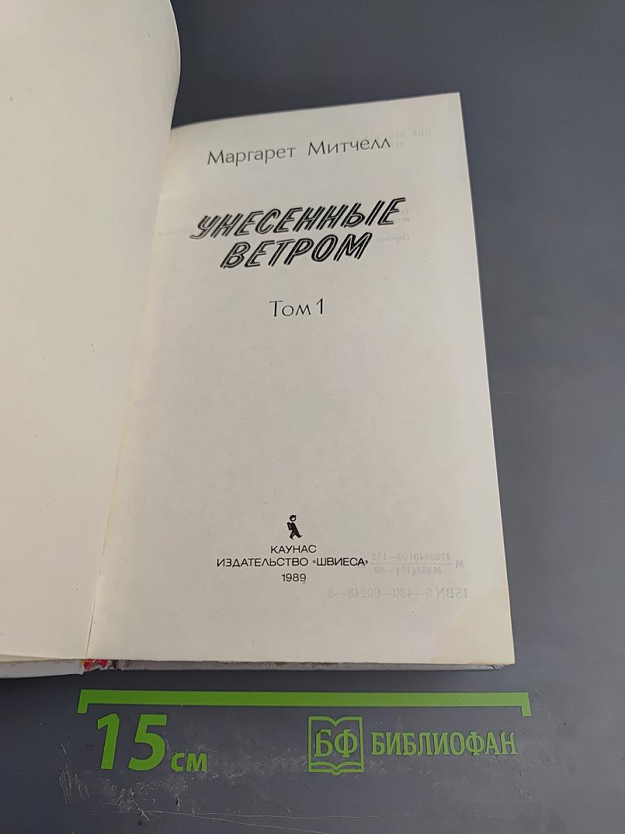 Унесенные ветром. Том 1