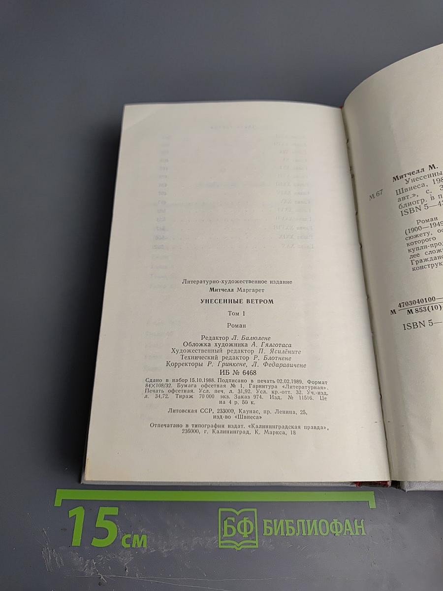 Унесенные ветром. Том 1