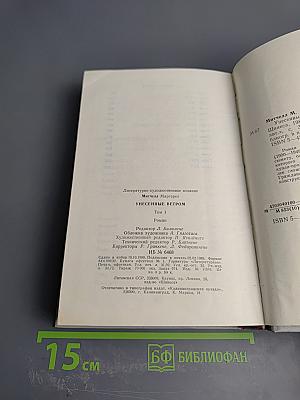 Унесенные ветром. Том 1