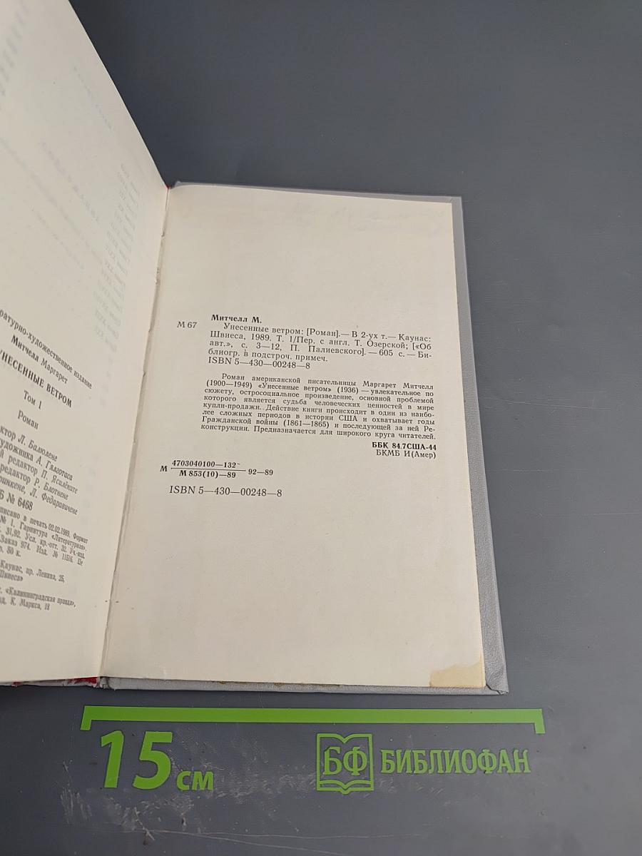 Унесенные ветром. Том 1