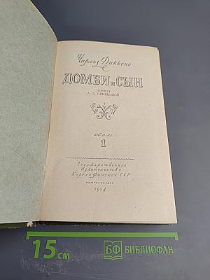 Домби и сын. Том 1