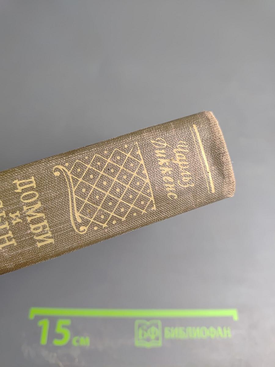 Домби и сын. Том 1