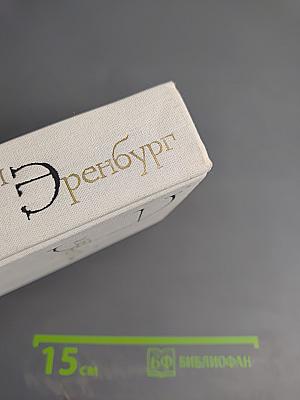 Собрание сочинений. Том второй: Жизнь и гибель Николая Курбова, Рвач, В Проточном переулке