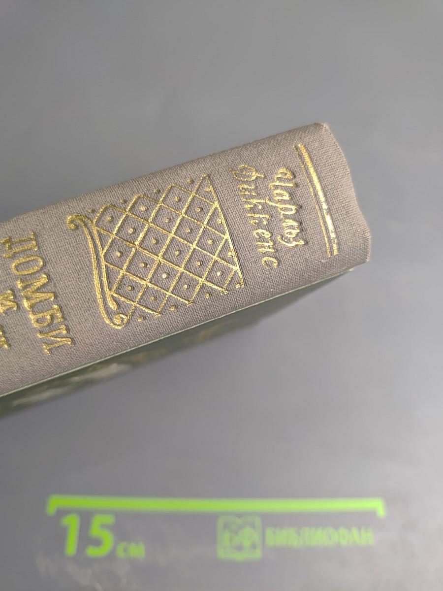 Домби и сын, Том 1