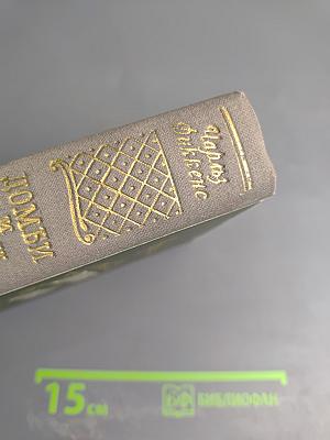 Домби и сын, Том 1