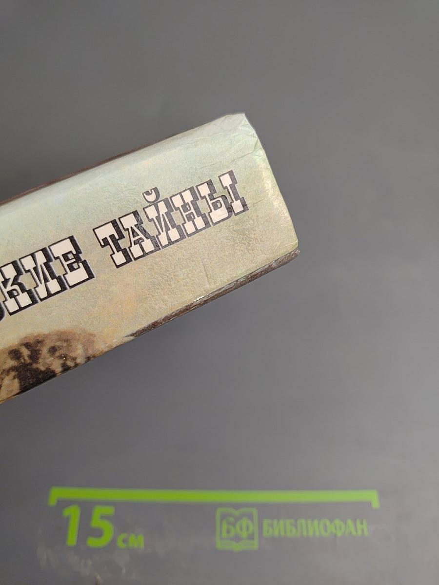 Петербургские тайны. Книга вторая