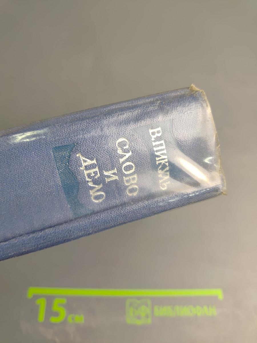 Слово и дело. Царица престрашного зраку. Книга 1