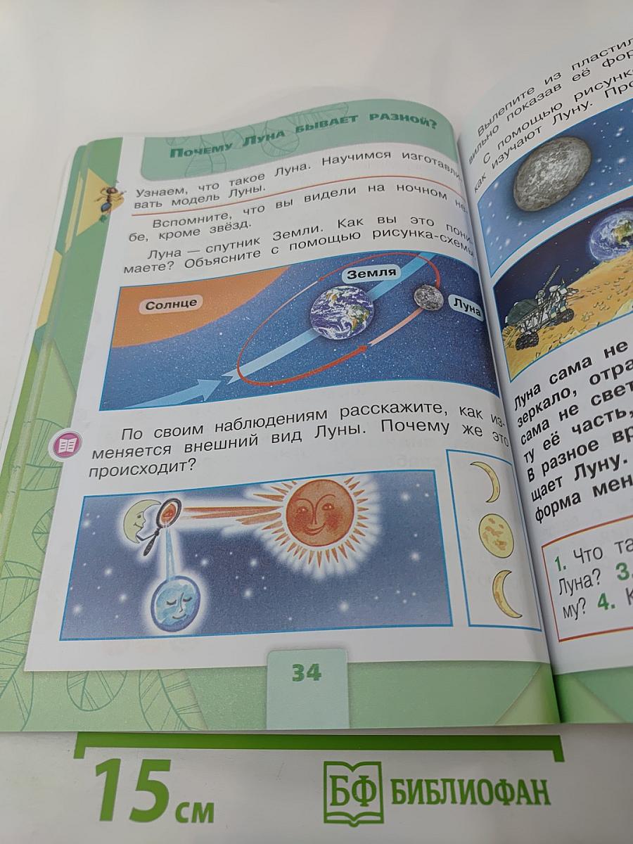 Окружающий мир 1 класс Часть 2