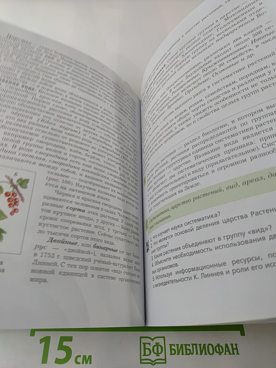 Биология 6 класс