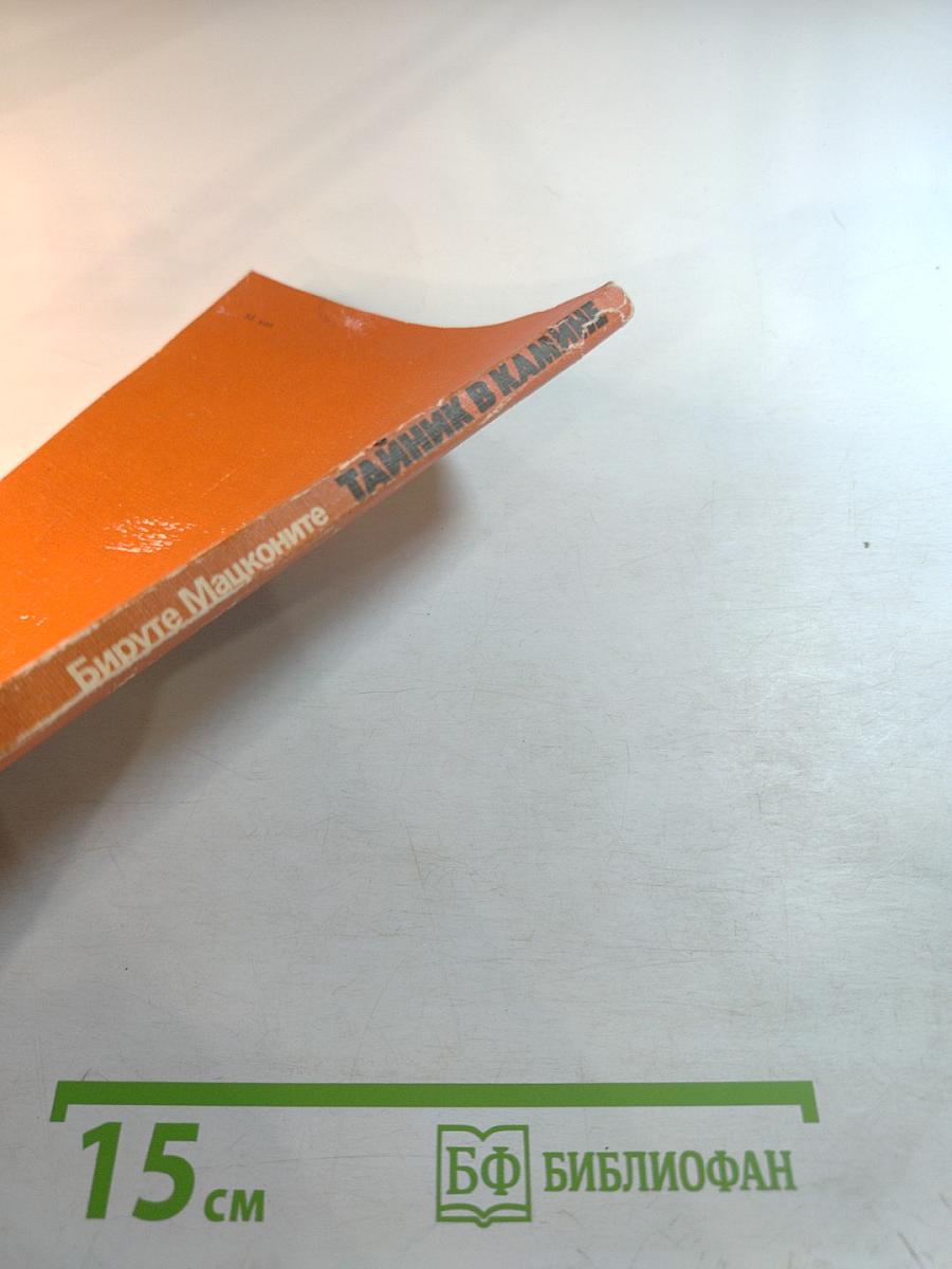 Тайник в камине