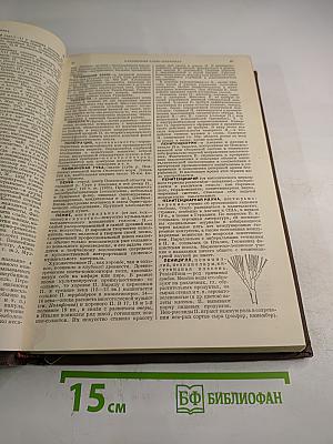 Малая Советская Энциклопедия. Том восьмой. Парторг—Революционный трибунал