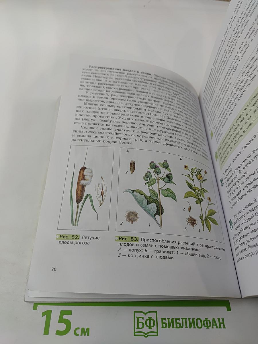 Биология 6 класс