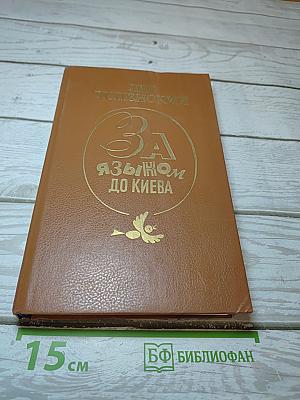 За языком до Киева