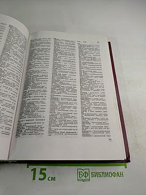 Большой англо-русский политехнический словарь. Том II (М-Z)