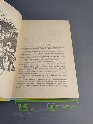 Виконт де Бражелон или Десять лет спустя. Части 3, 4
