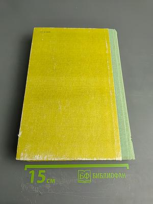 Виконт де Бражелон или Десять лет спустя. Части 3, 4