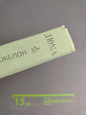 Виконт де Бражелон или Десять лет спустя. Части 3, 4