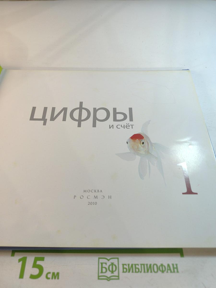 Цифры и счёт