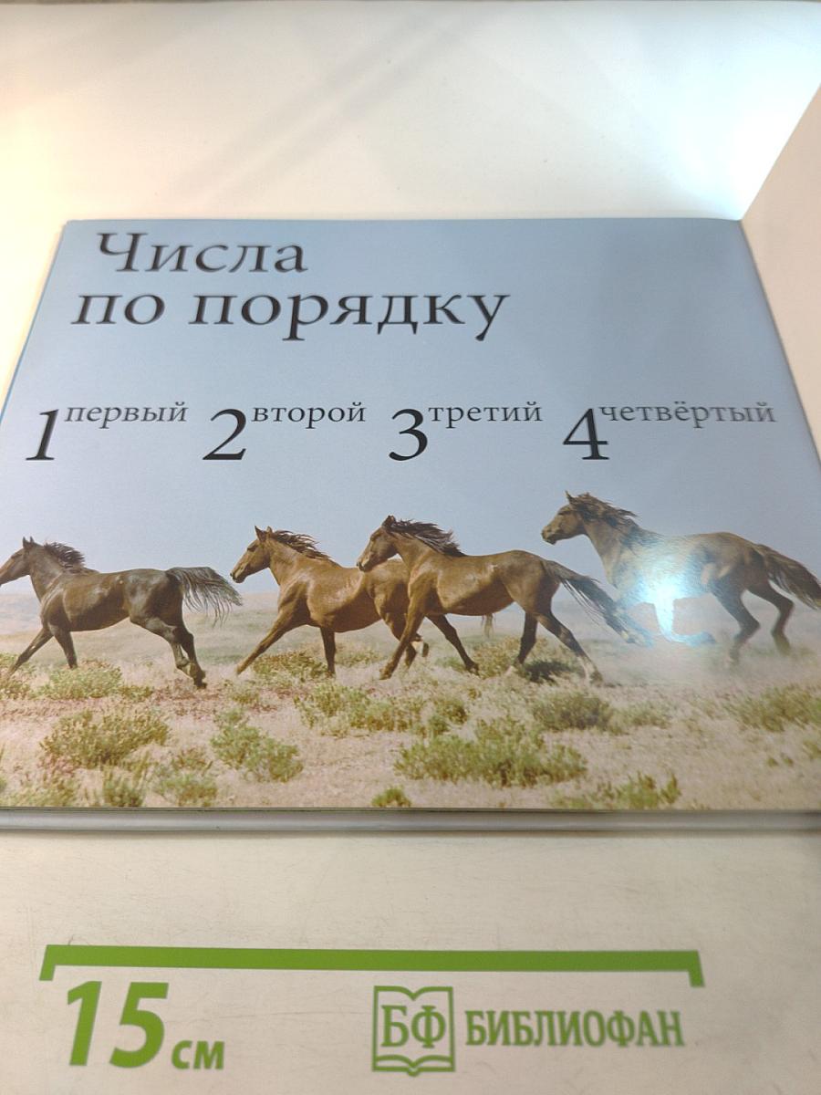 Цифры и счёт