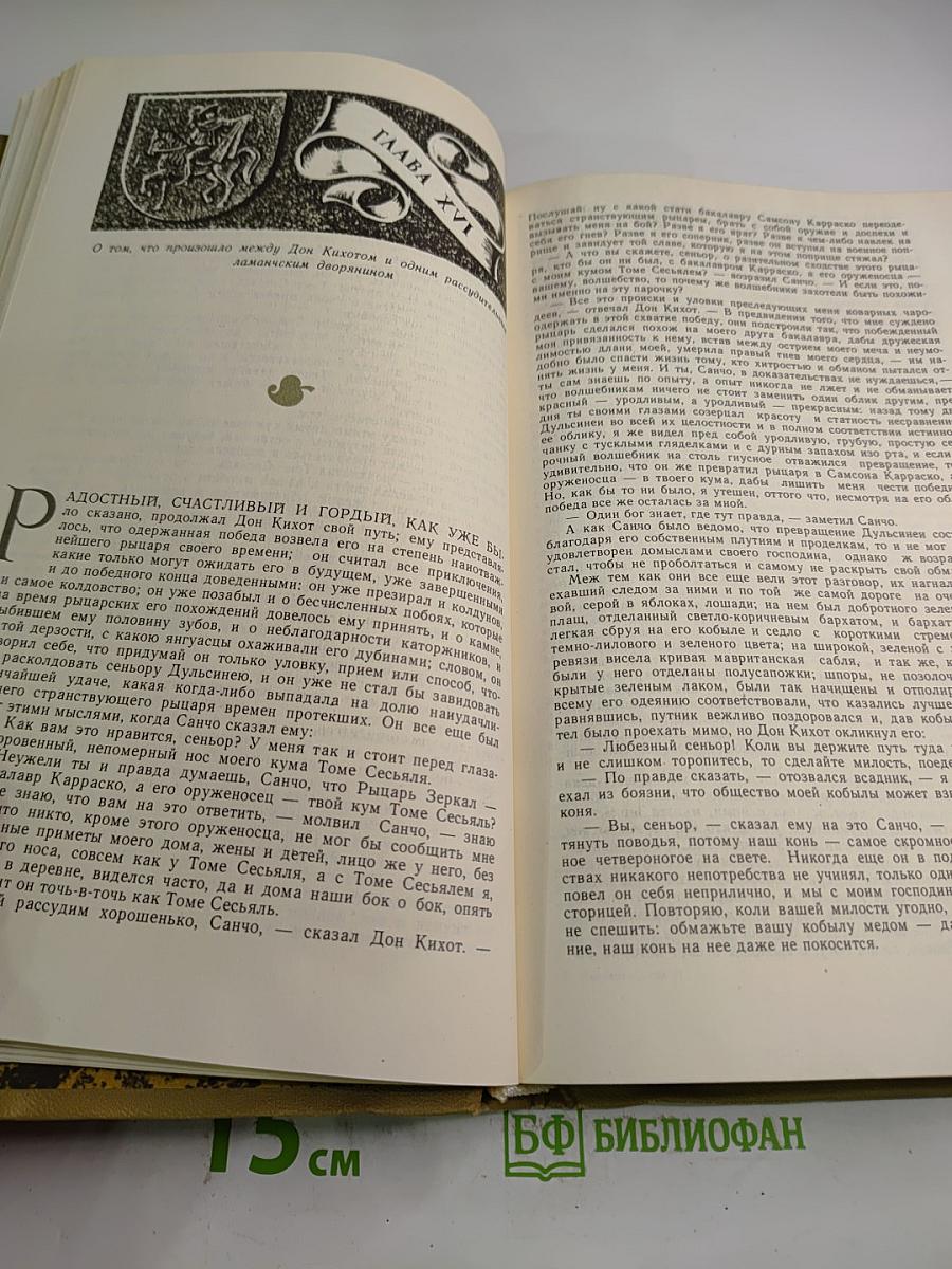 Дон Кихот Ламанчский. Часть вторая