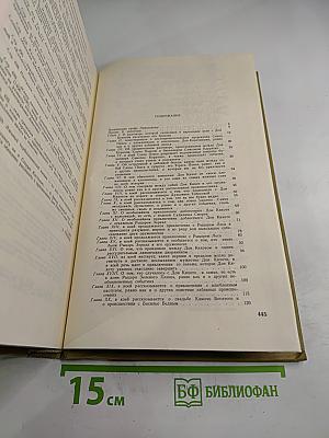 Дон Кихот Ламанчский. Часть вторая